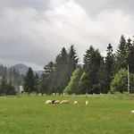 U Bliźniaków Zakopane