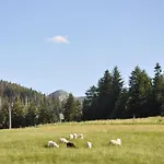 U Bliźniaków Apartamento Zakopane