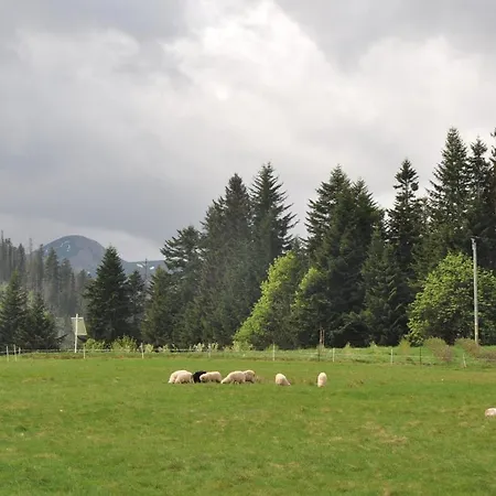 U Bliźniaków Zakopane